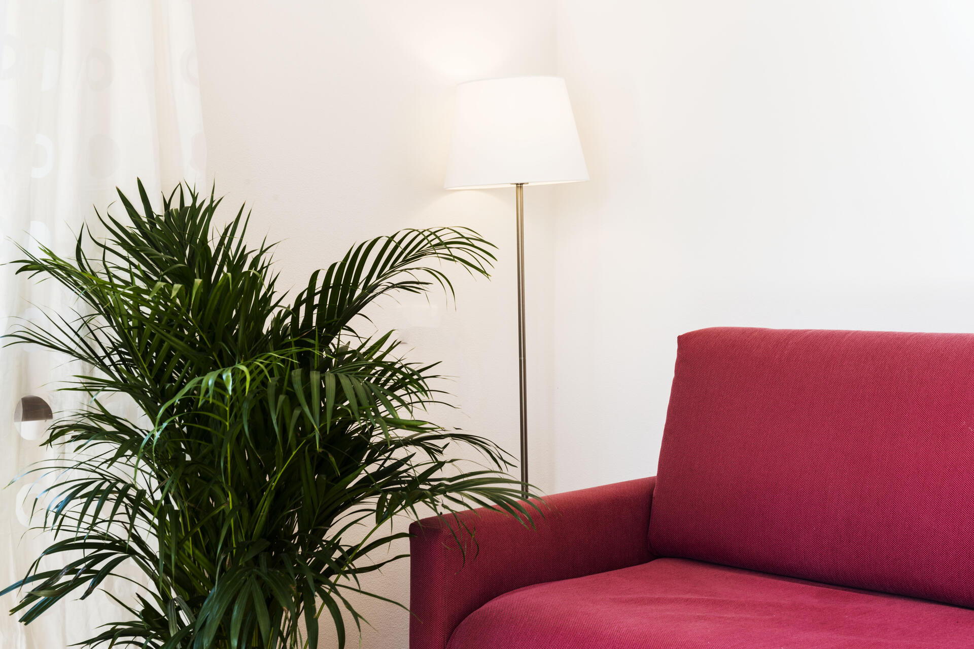 Appartamenti con una camera da letto